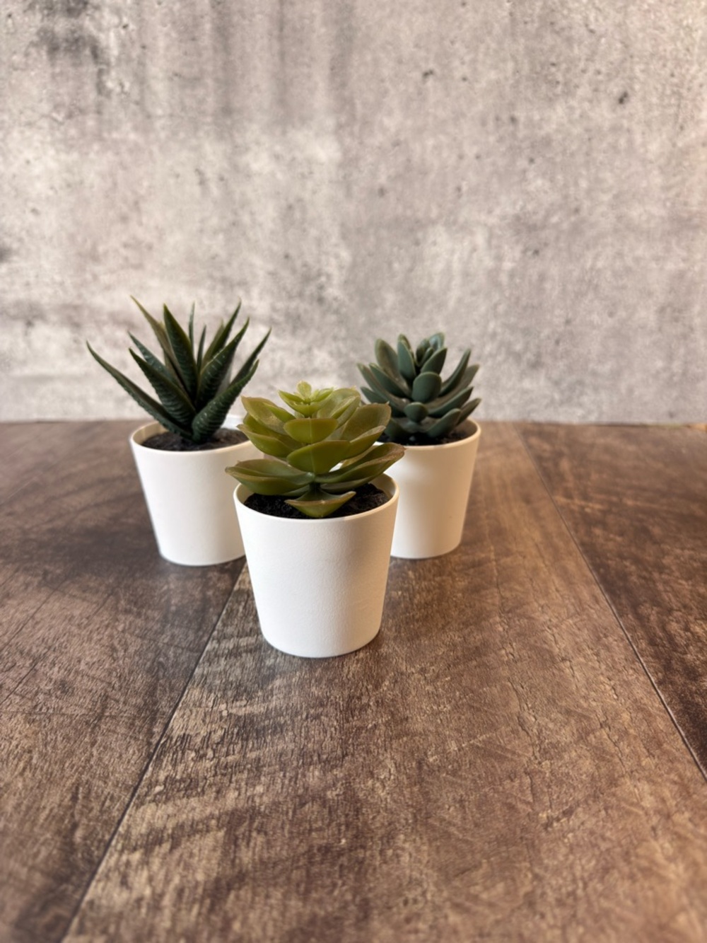 Minimalist White Green Succulent Accents